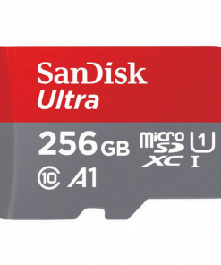 SanDisk MicroSD CLASS 10 120MBPS 256GB without Adapter1