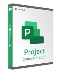 microsoft project standard 2021 1