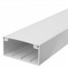 PVC 2 x 4 100 x 50 Trunking