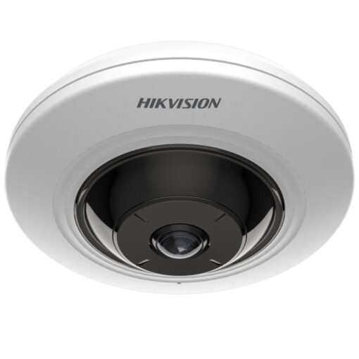 Hikvision DS 2CD2955G0 IS(U)