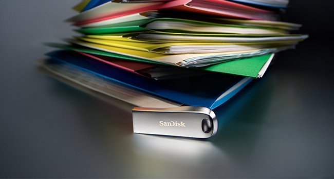 SanDisk Ultra Luxe 256GB
