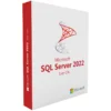 Microsoft SQL Server 2022 1 User CAL