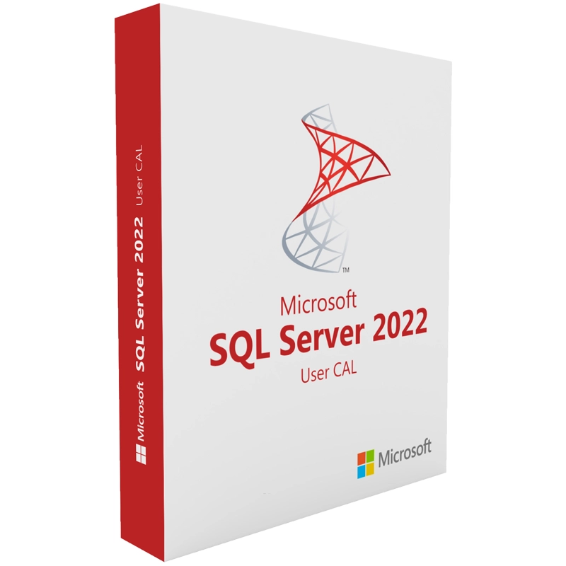 Microsoft SQL Server 2022 1 User CAL