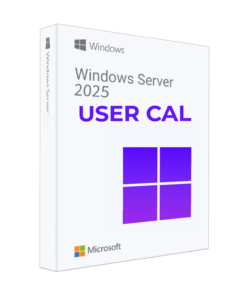 Windows Server 2022 CAL 1 User CAL 1 year