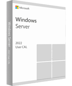 Windows Server 2022 RMS CAL 1 User CAL 1 year