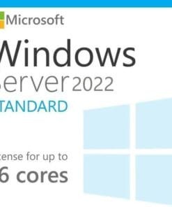 Windows Server 2022 Standard 16 Core License Pack